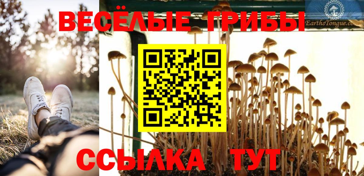 Псилоцибиновые грибы Magic Shrooms Кудымкар