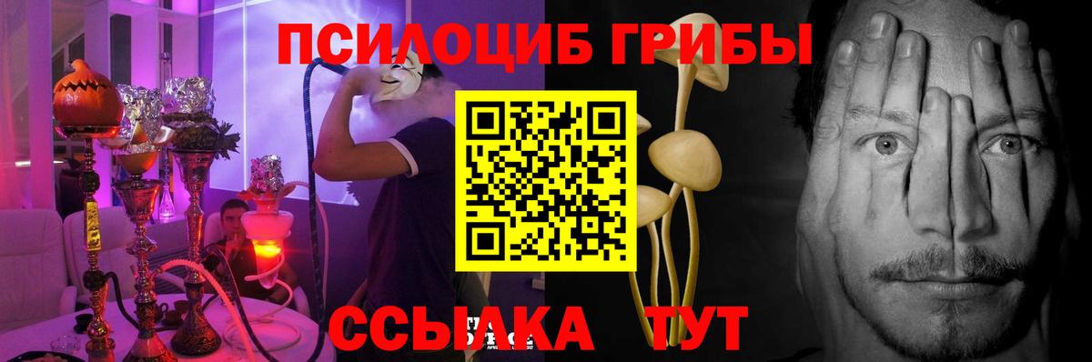 Кудымкар  Галлюциногенные грибы Psilocybine cubensis  Вход с VPN  Галлюциногенные грибы GOLDEN TEACHER 